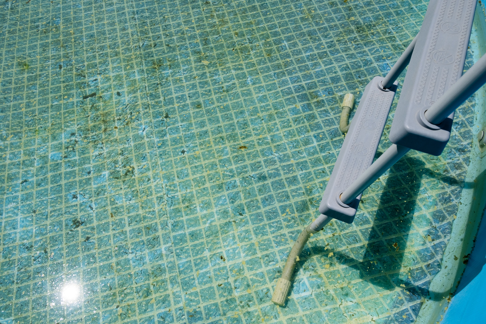 Piscina sporca